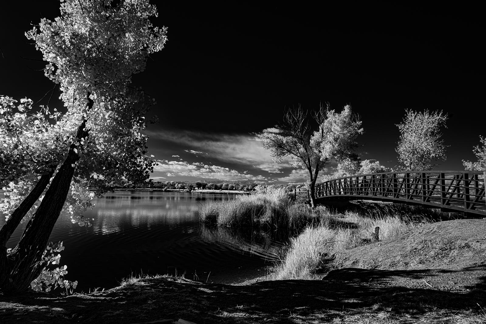 The Bridge